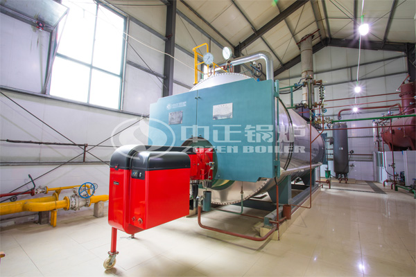 10噸WNS系列冷凝式燃?xì)庹羝仩t項目